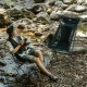Стул складной ультралёгкий Naturehike Stellaluna L04 CNK2450JJ015, размер М, алюминий, серый 5