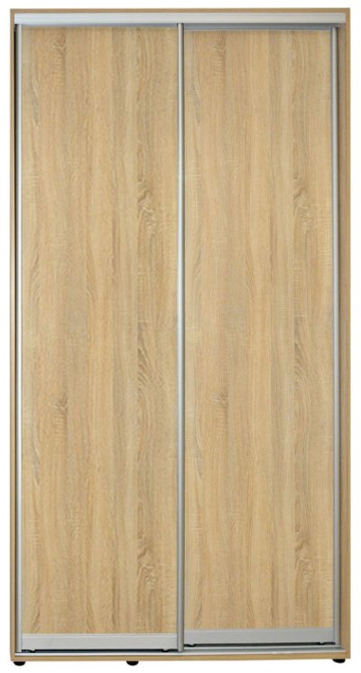 Шкаф-купе Світ Меблів АЛЬФА 2Д 110х220x45